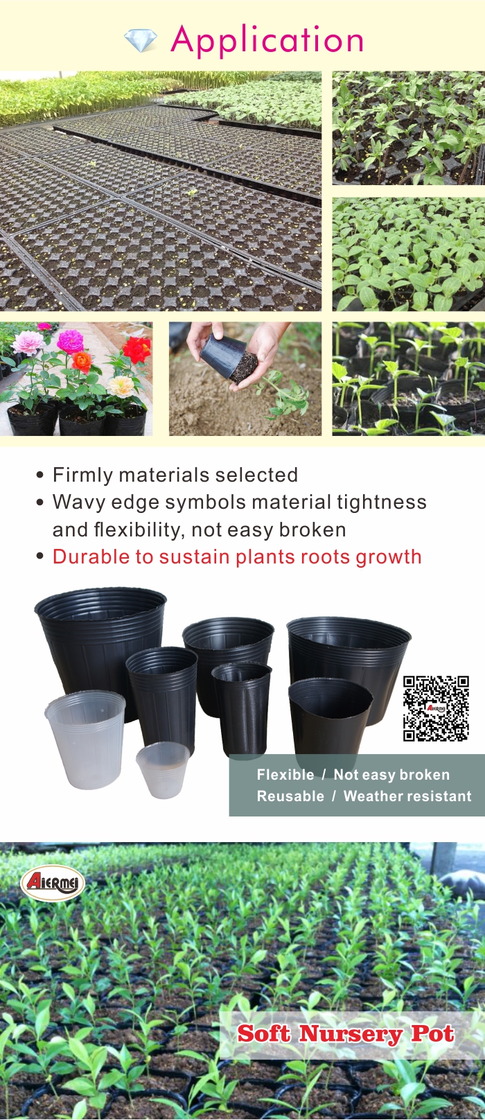 Nursery pots bulk and nursery pots for sale for seedling production.
