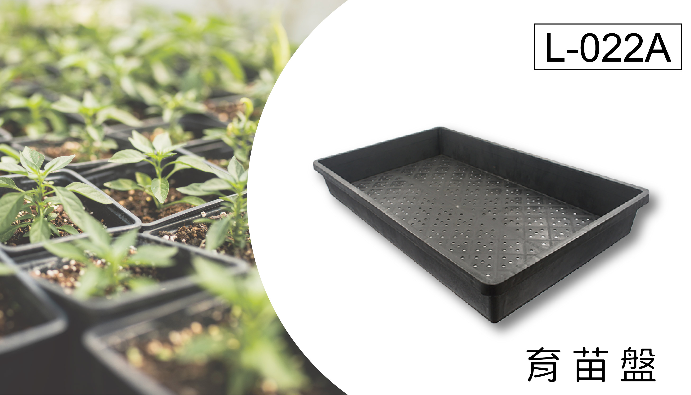 育苗端盤用於播種育苗，方便整理搬移。