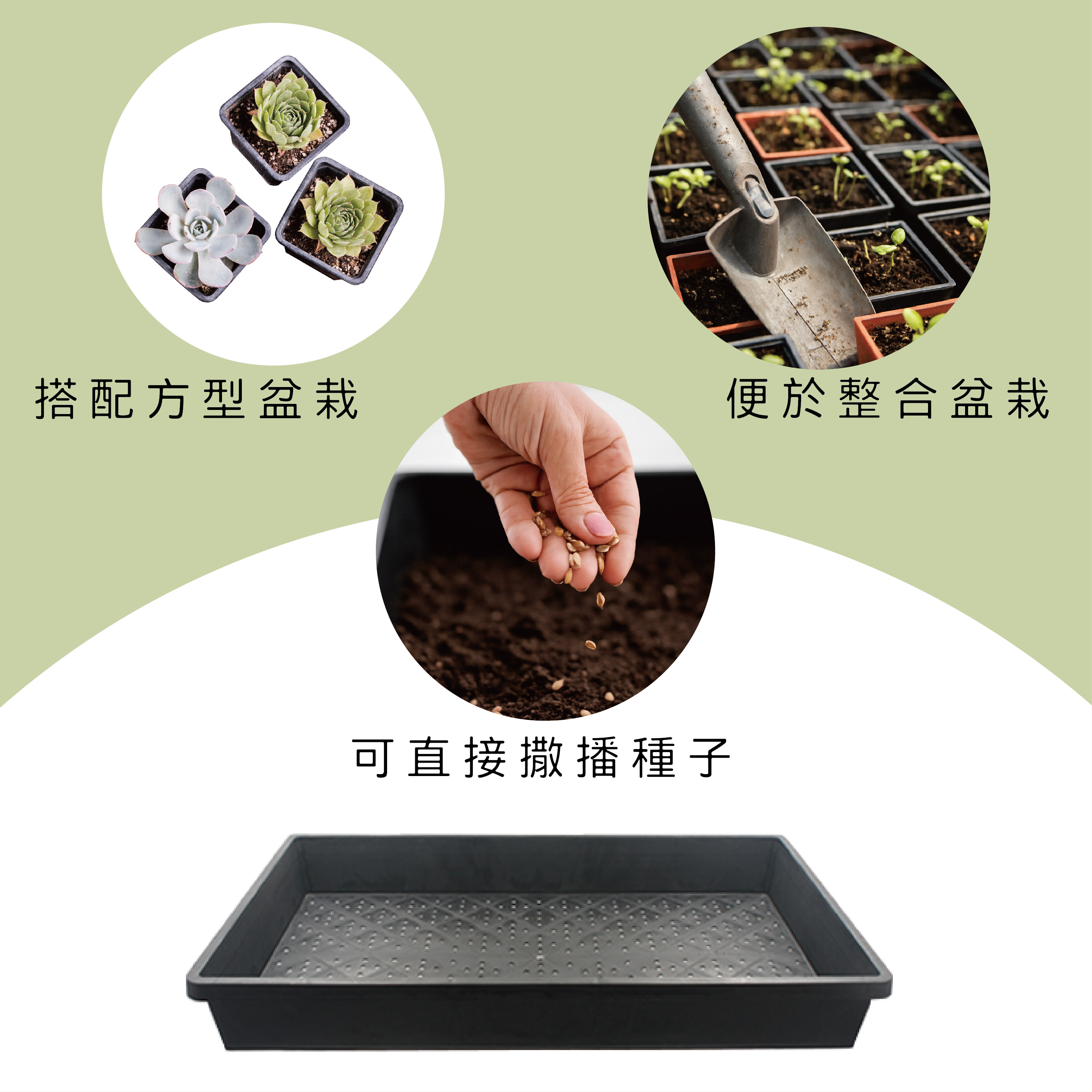 育苗盤搭配育苗盆，集中整合盆栽管理。