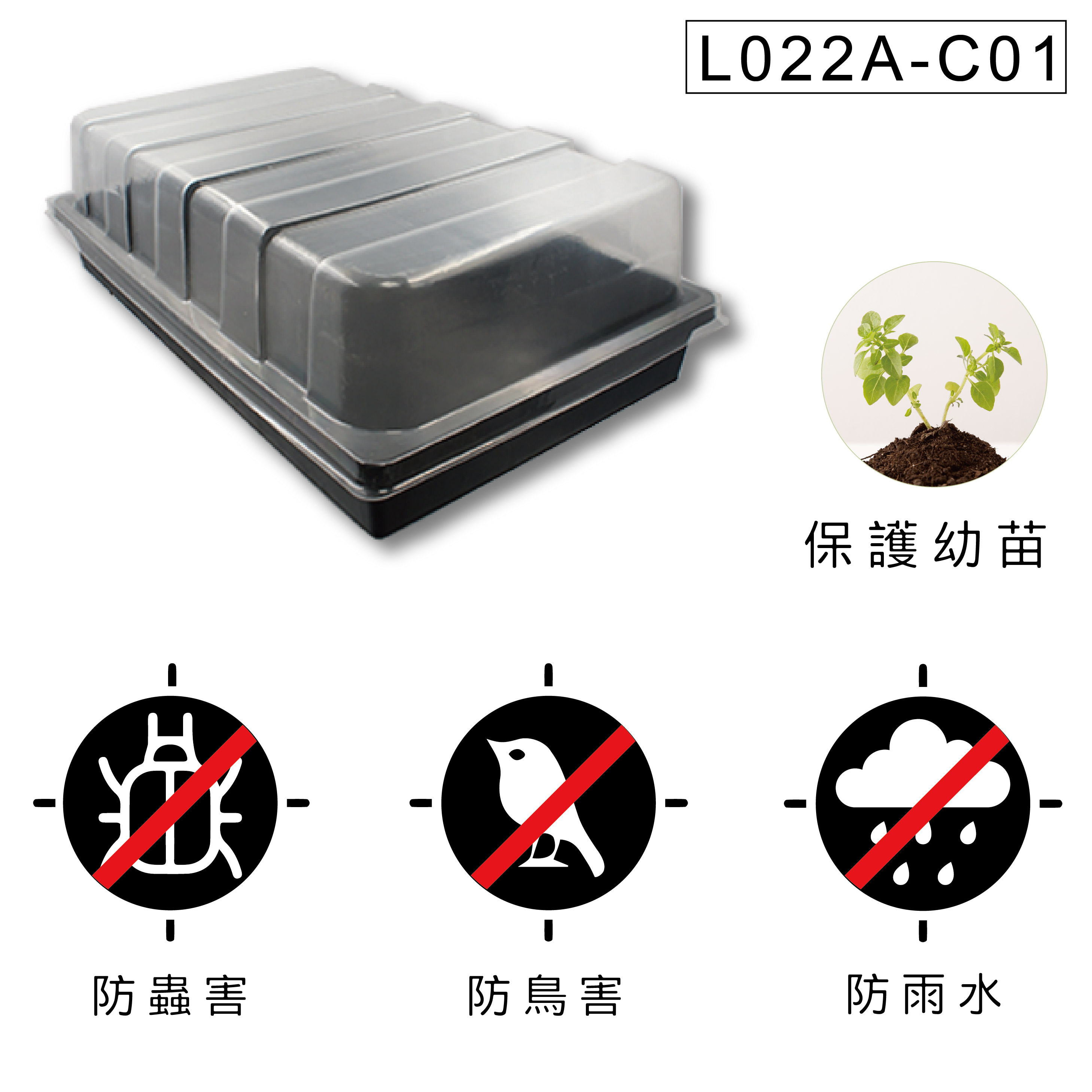 育苗悶箱防鳥害防風雨，保護幼苗。