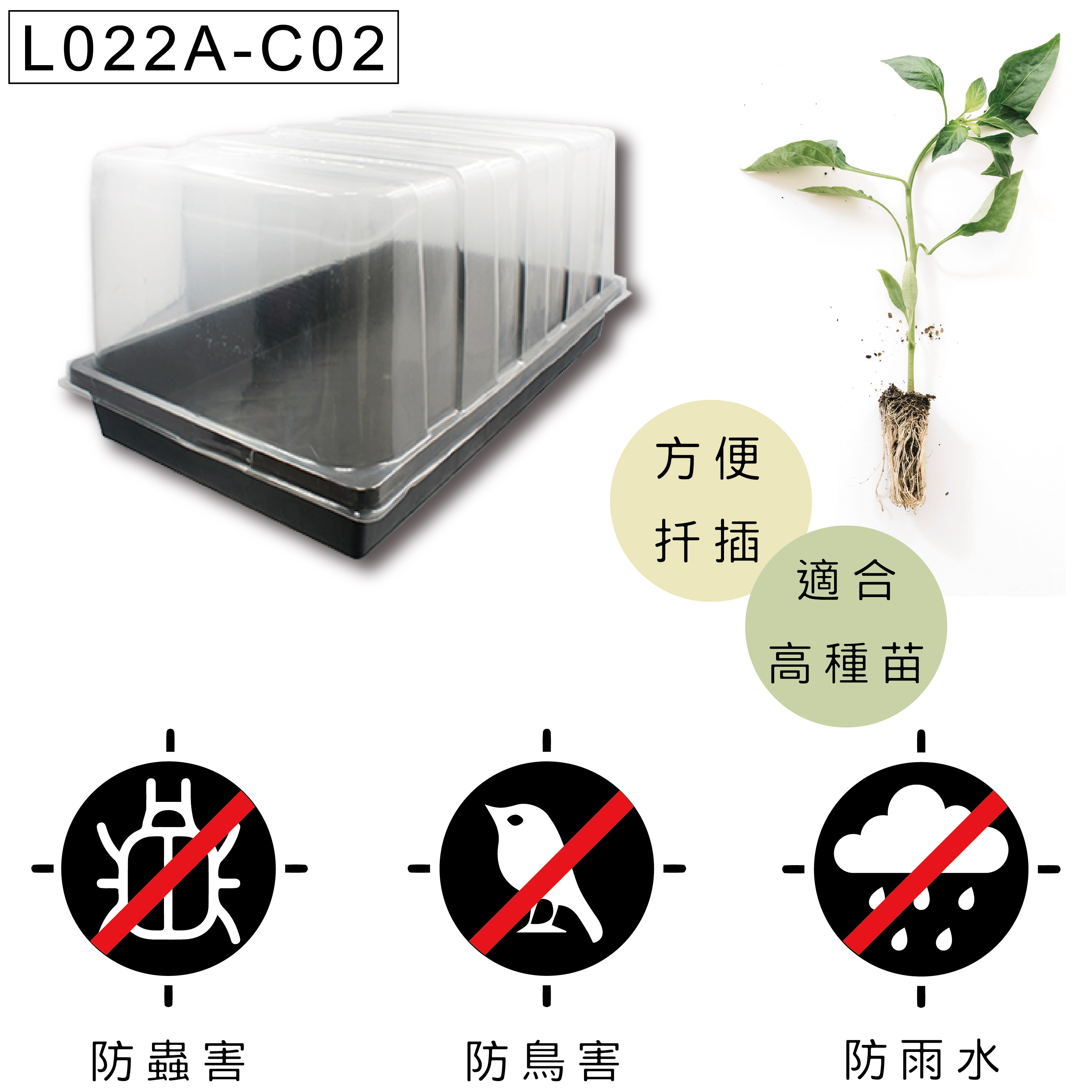 育苗盤用於扦插繁殖，保持濕度促進生根。