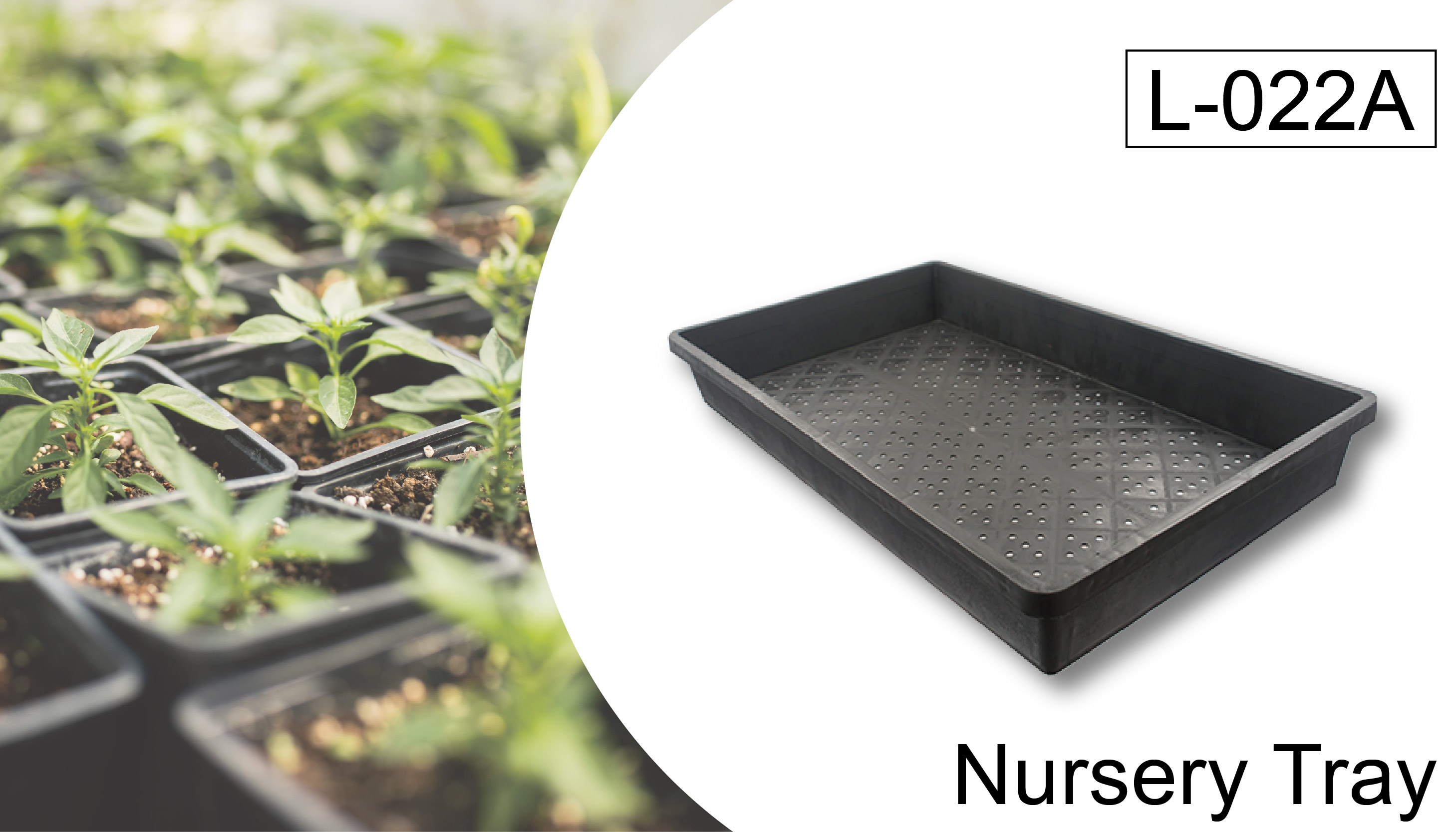 Taiwan made multi-purpose gardening seedling tray base.