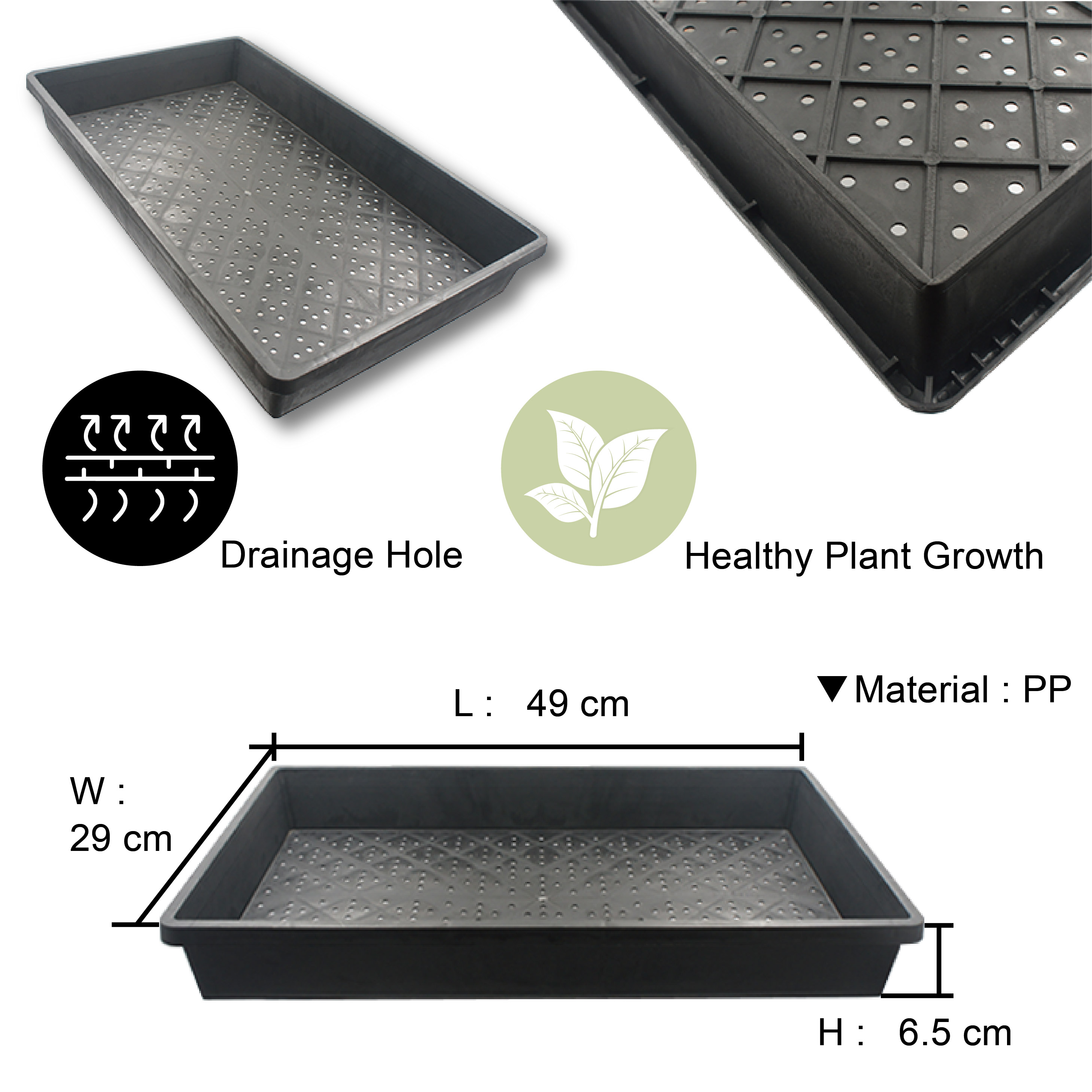 Perforated seedling tray with ventilation and drainage design.