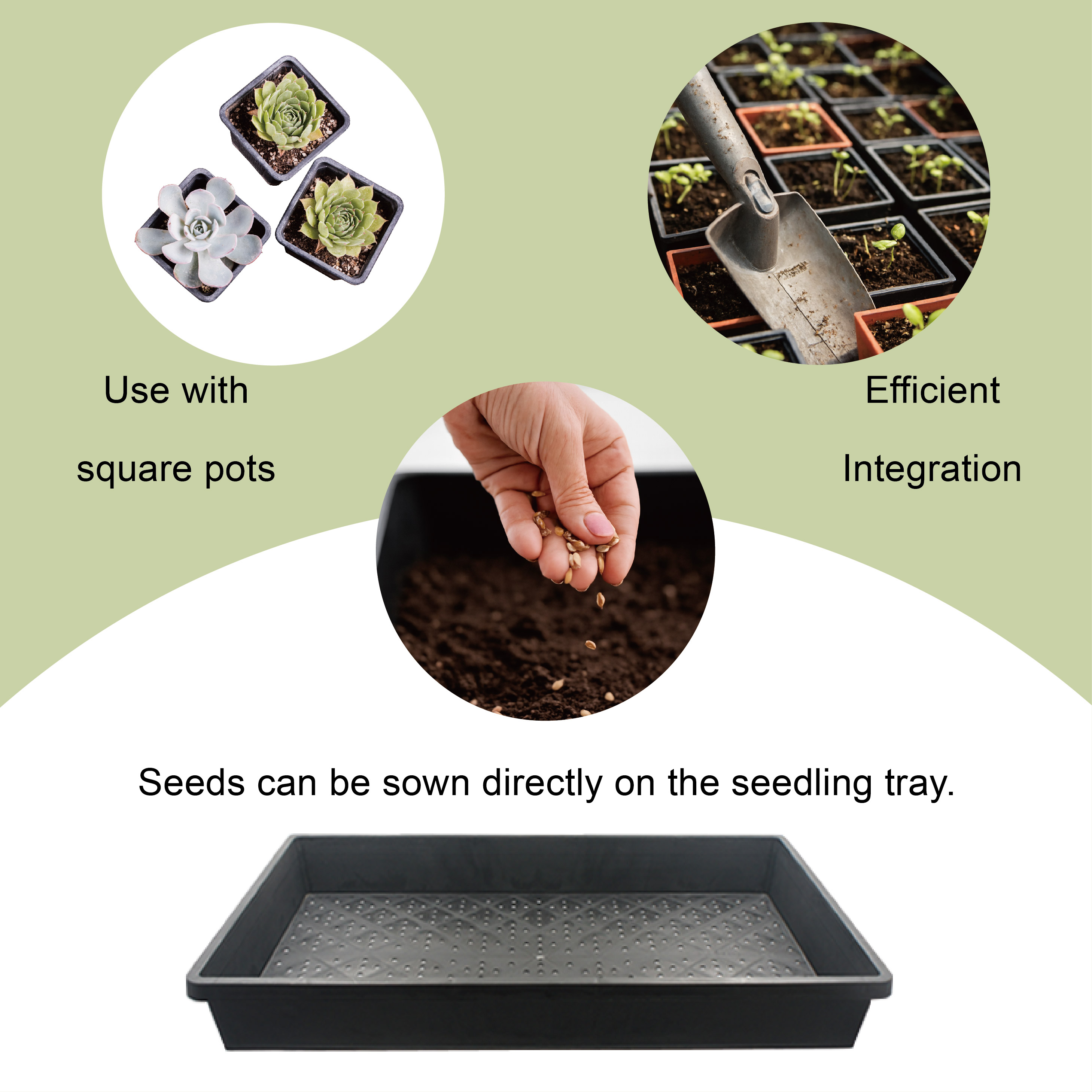 Seedling tray organizes square pots for efficient plant management.