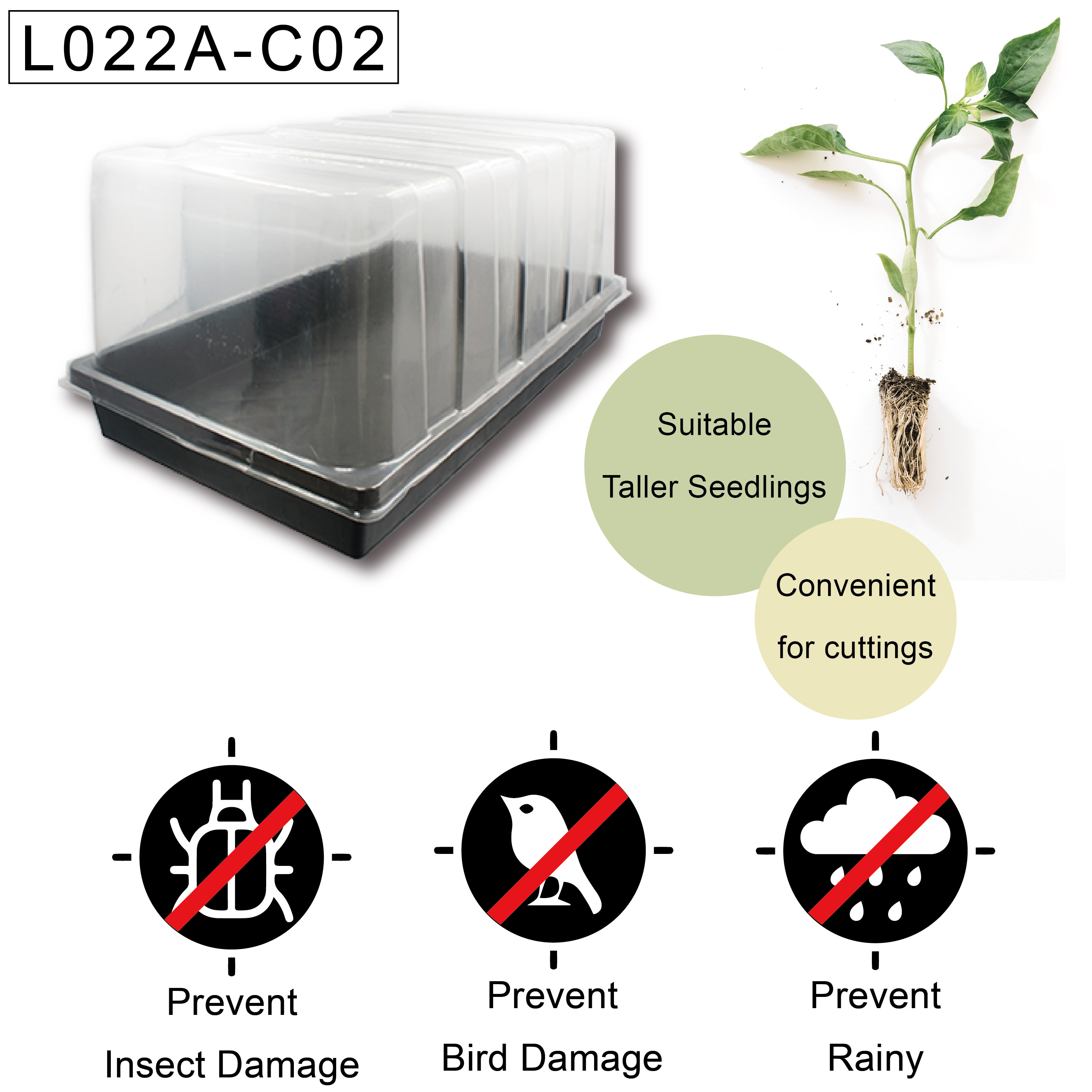 Raised transparent cover suitable for taller cuttings and seedlings.