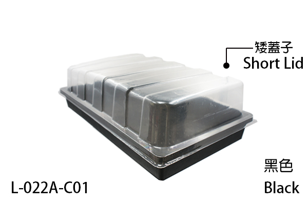 Seedling tray base for seed starting with easy handling and organization.