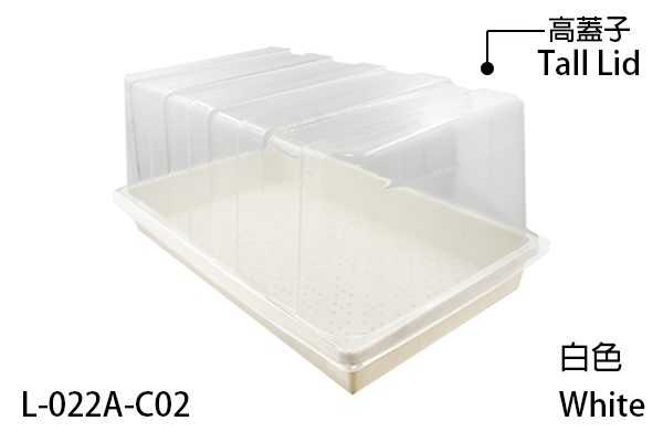 Seedling tray with transparent humidity dome can be used as a mini greenhouse.