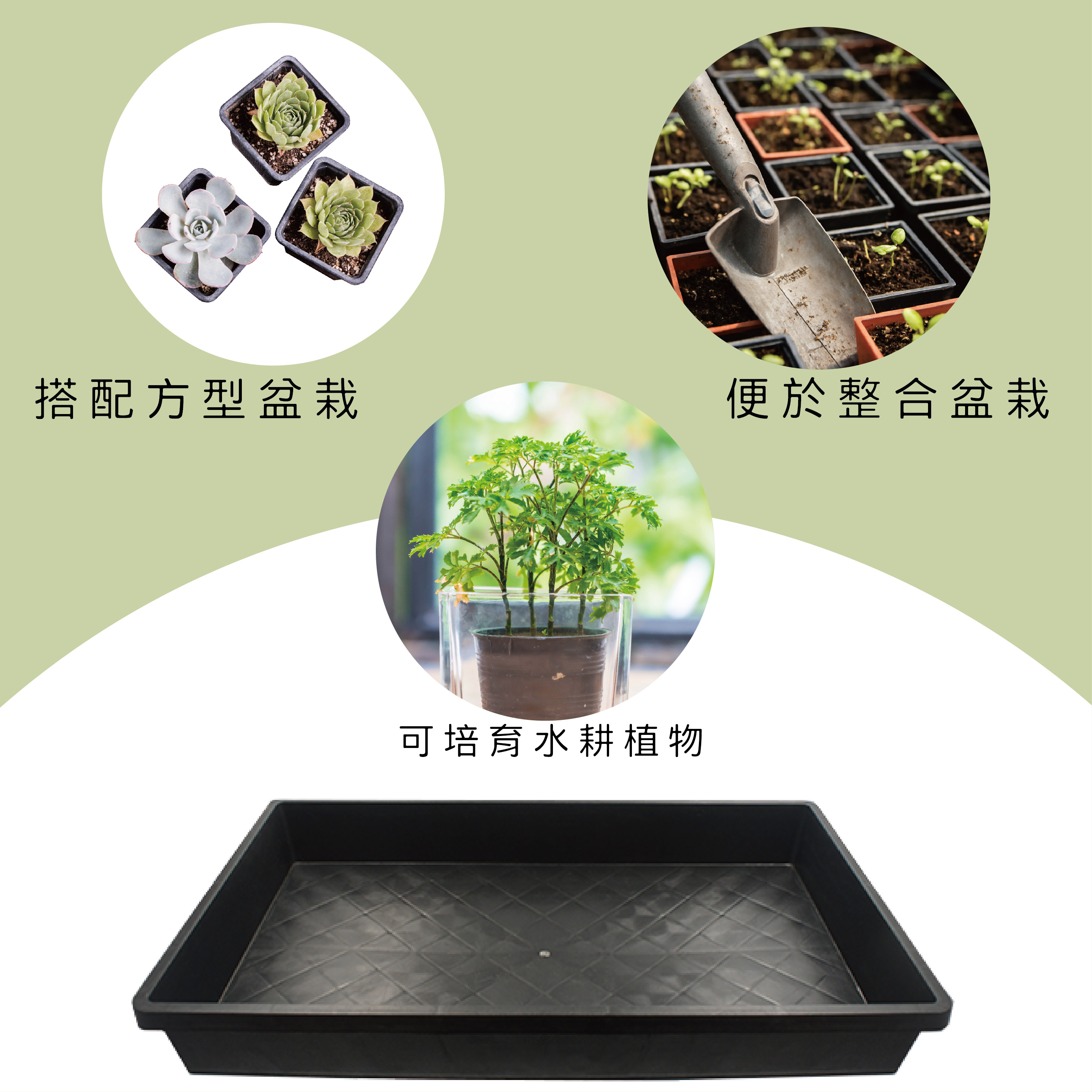 育苗盤整合方型盆栽，省時省力管理。