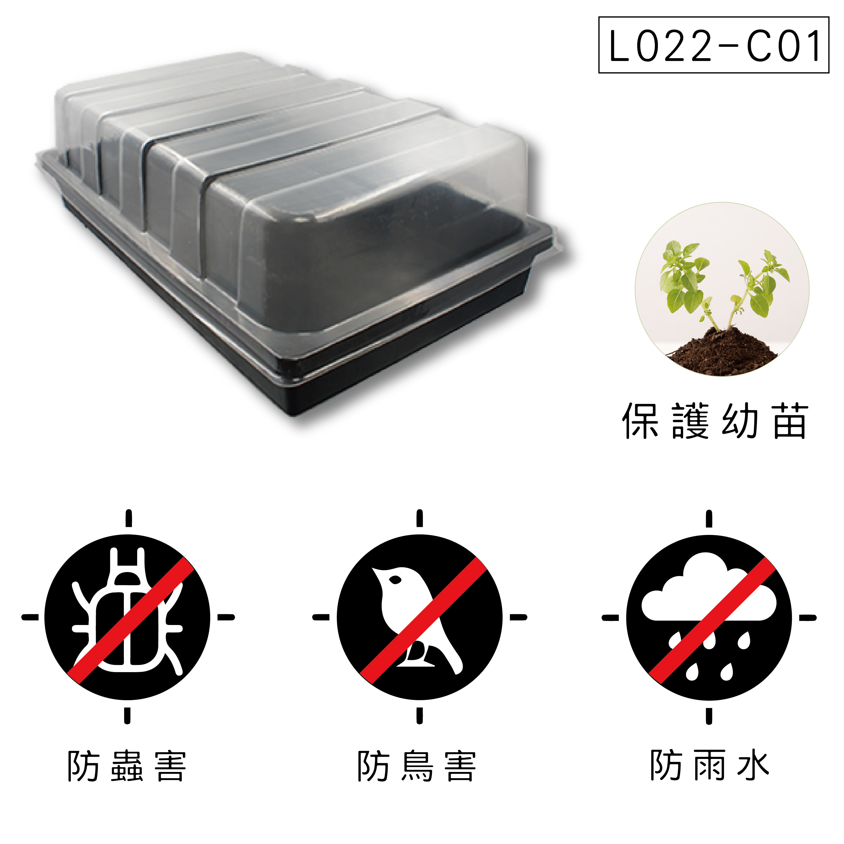 育苗盤適用花卉植物育苗與播苗。