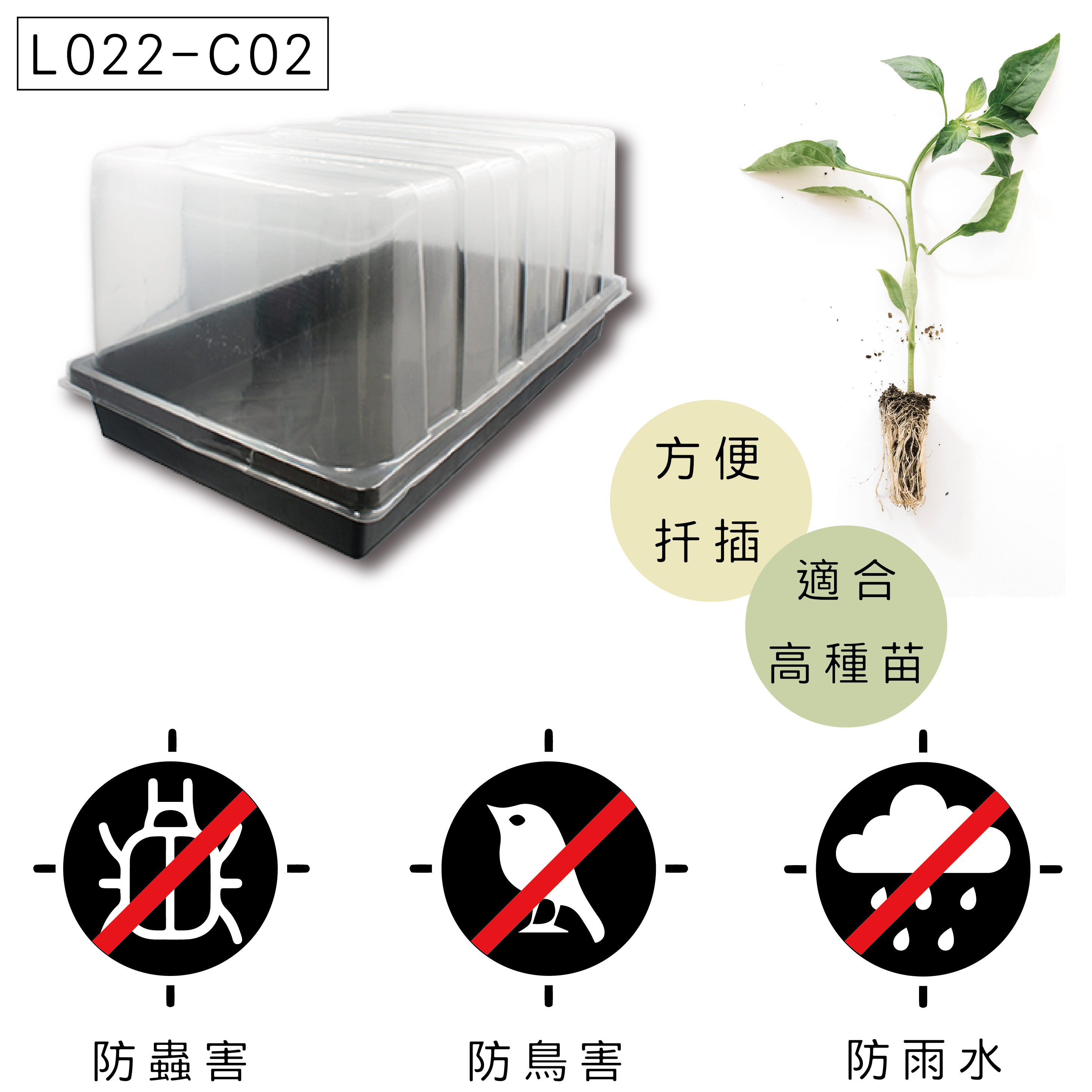 芽菜育苗床，適合多種蔬菜苗培育。