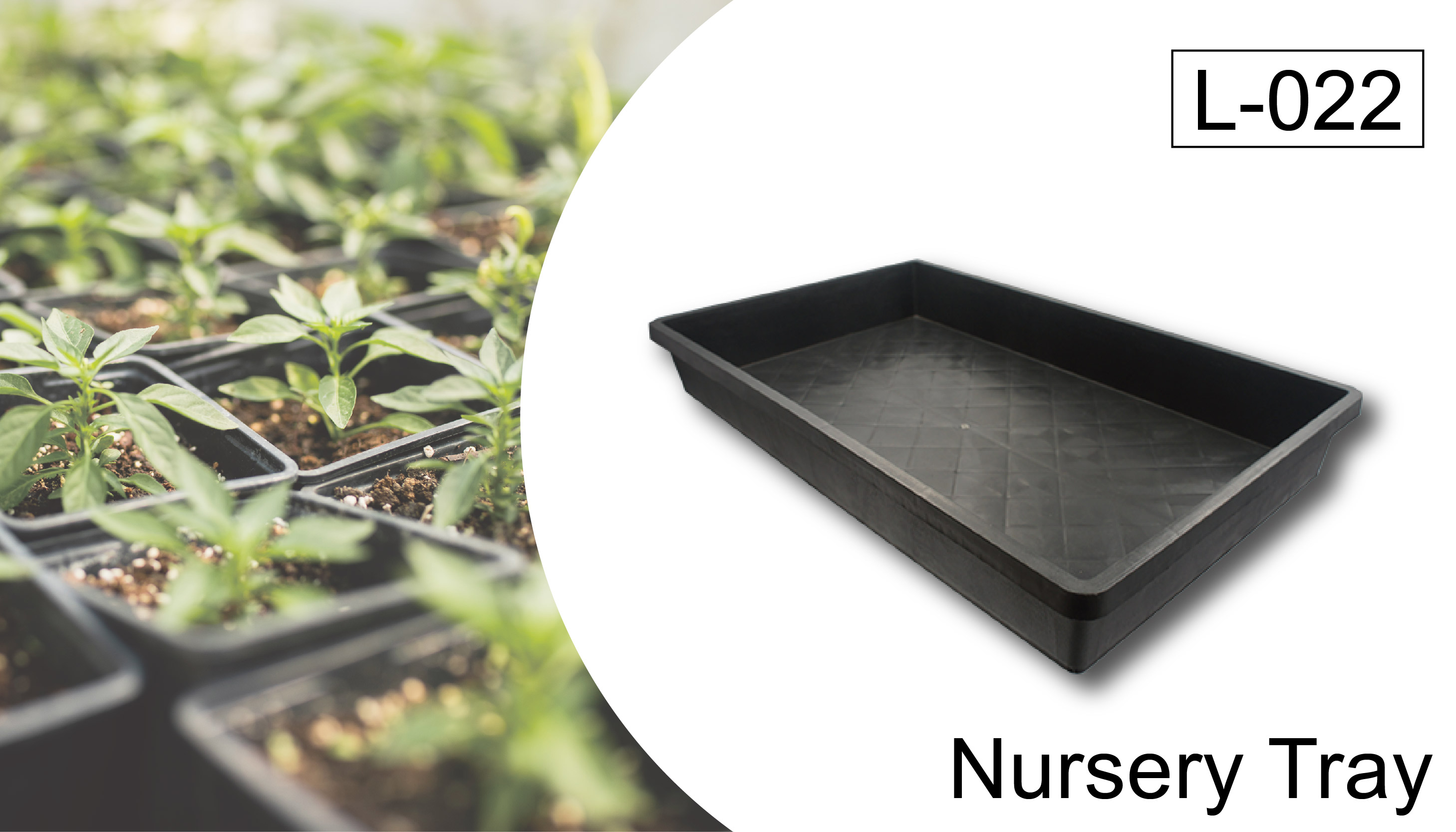 Nursery seedling tray base for efficient large-scale plant transportation.