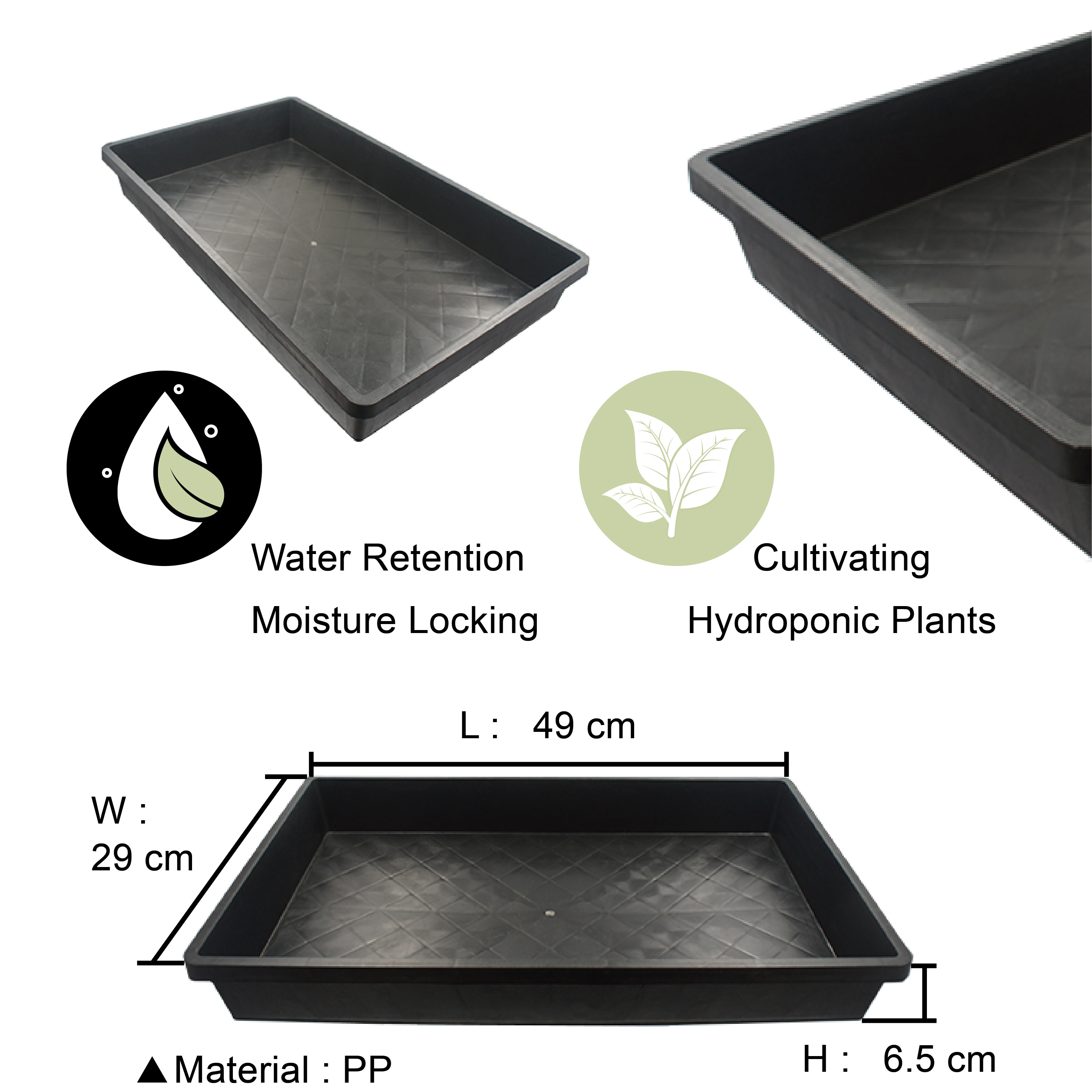 Succulent propagation tray suitable for seeding and plant propagation.