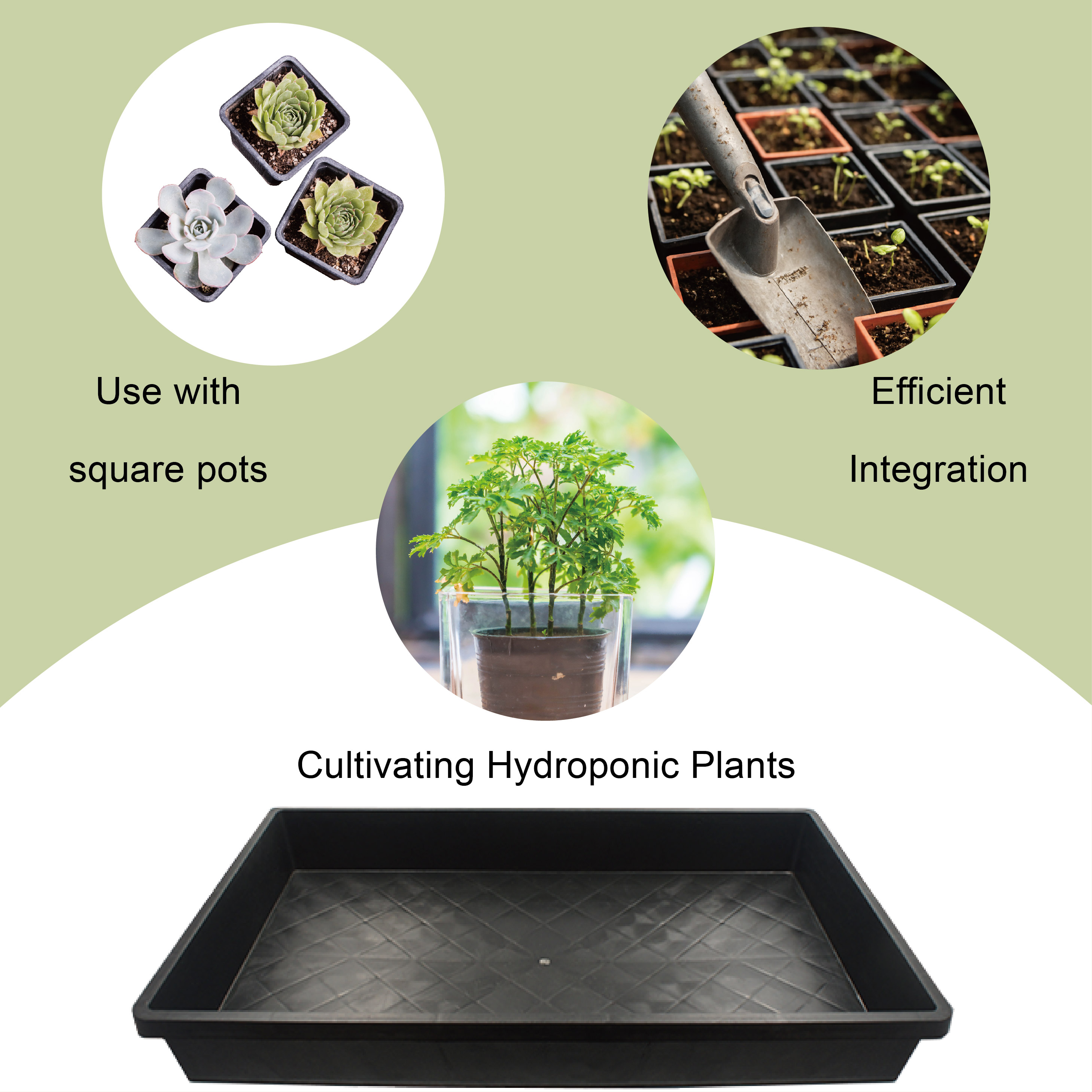 Seedling tray organizes square pots for efficient plant management.