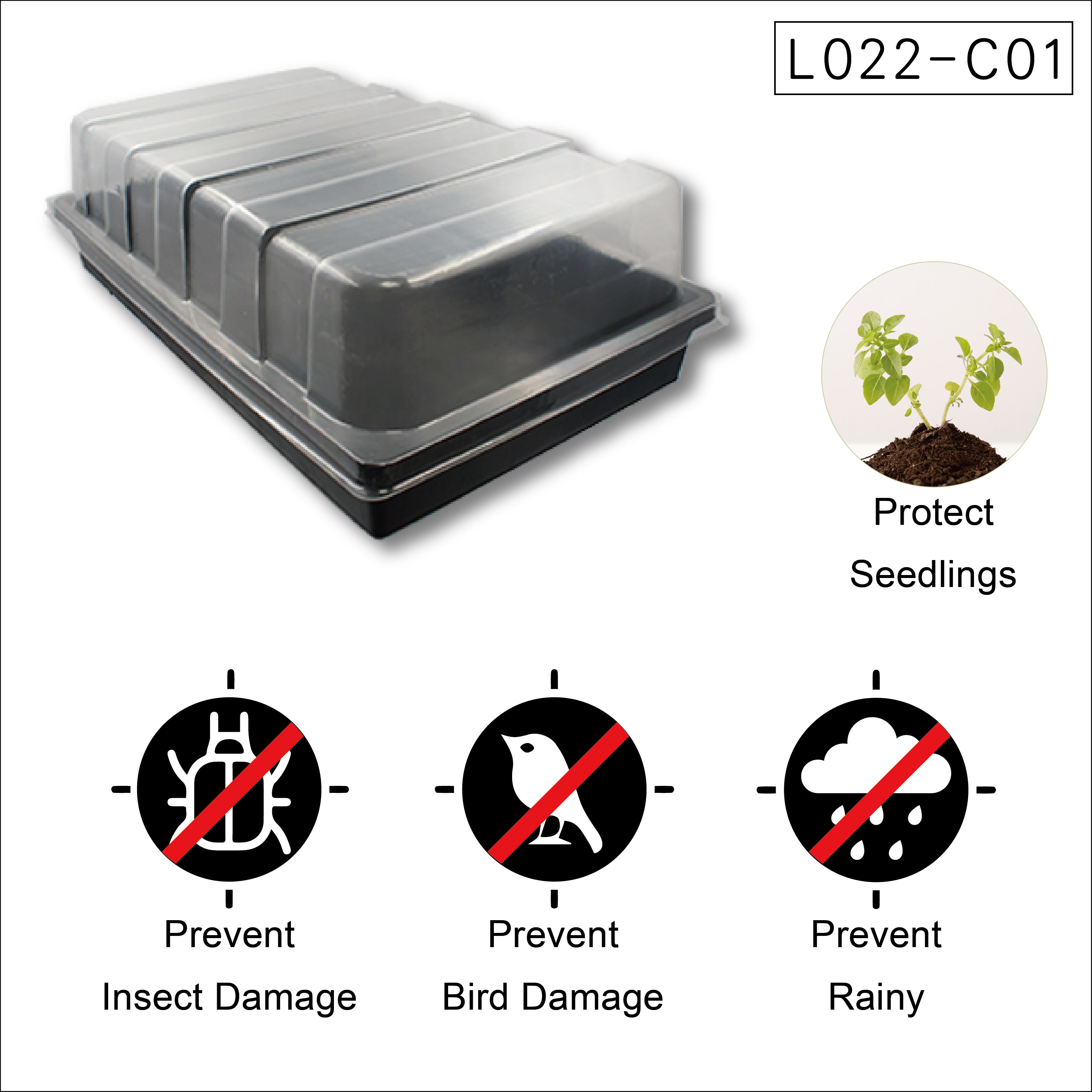 Seedling tray with clear humidity dome for mini greenhouse propagation.