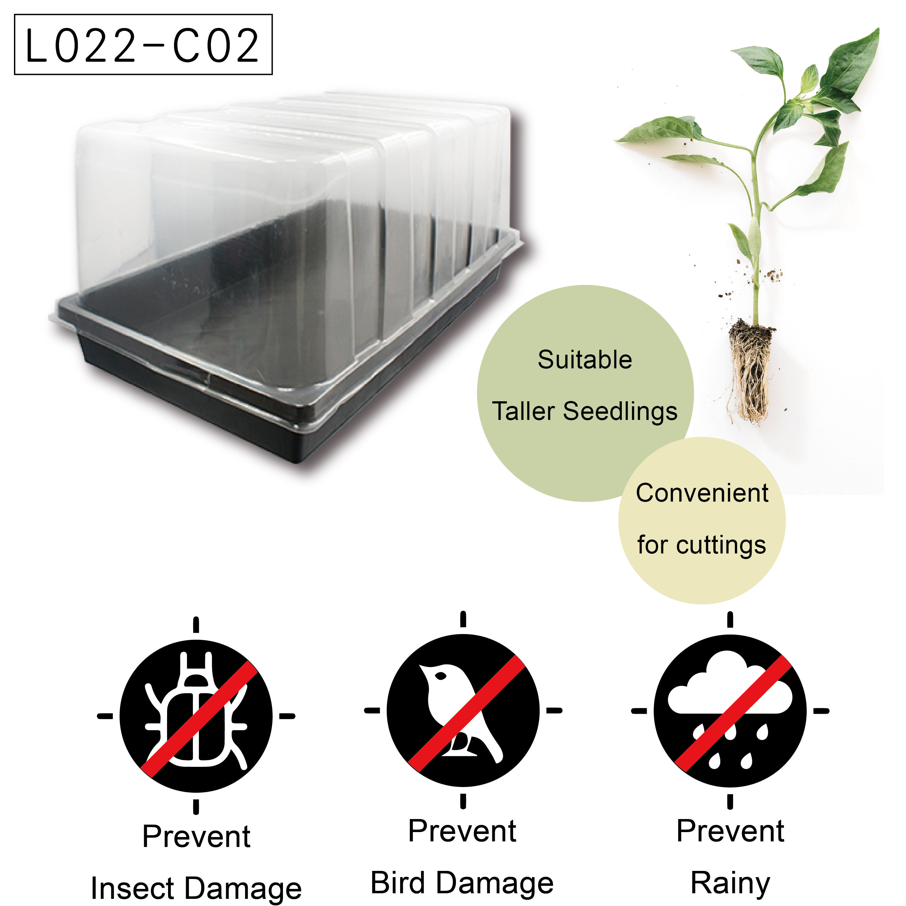 Seedling humidity dome protects seedlings from birds, wind, and rain.
