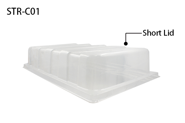 Seedling tray with clear humidity dome for mini greenhouse propagation.