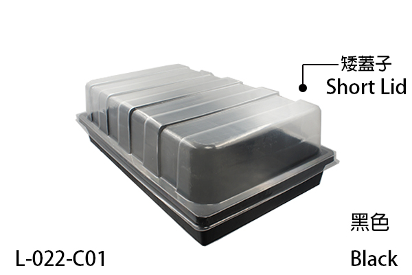 Raised transparent cover suitable for taller cuttings and seedlings.