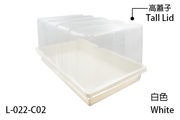 Seedling cultivation tray suitable for nurseries and home gardens.