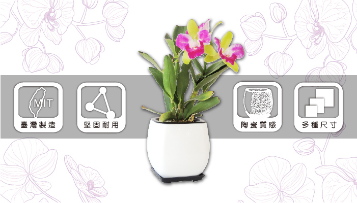 商業級禪風植栽盆器,適合蘭花展示、空間美化與園藝工程規劃。