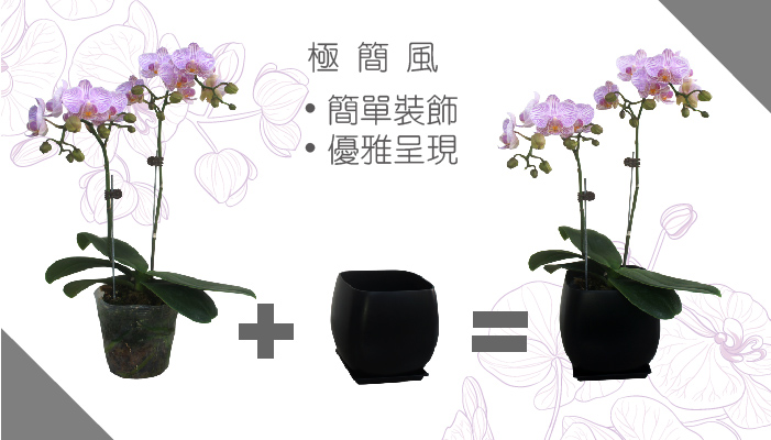 日式禪風花盆,適合商業空間、飯店與室內設計工程大量採購使用。