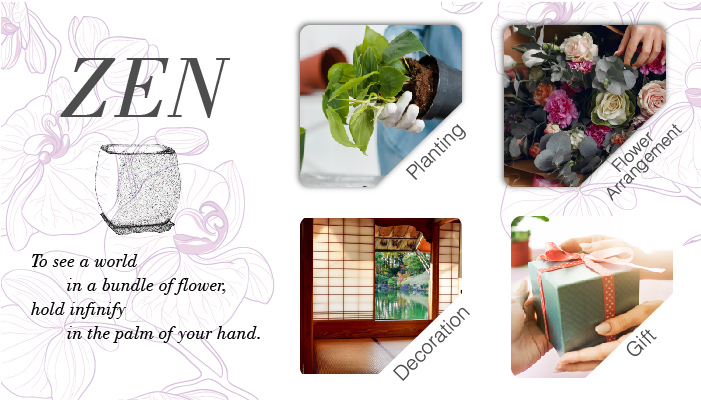 AIERMEI ZEN Flower Pot &mdash; planting orchid and home decoration application