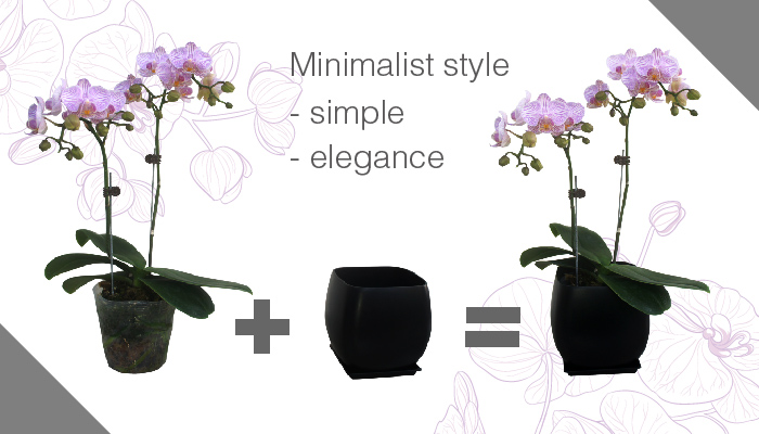 AIERMEI ZEN Flower Pot &mdash; drainage hole and saucer design demonstration