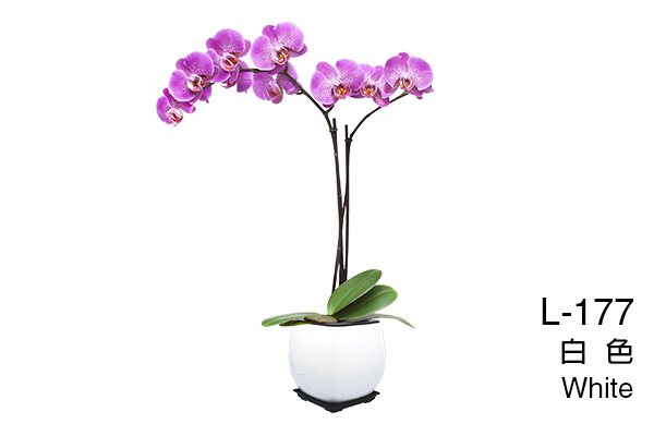 黑色日式花盆，具排水孔與底盤設計，有效保持植物健康生長。