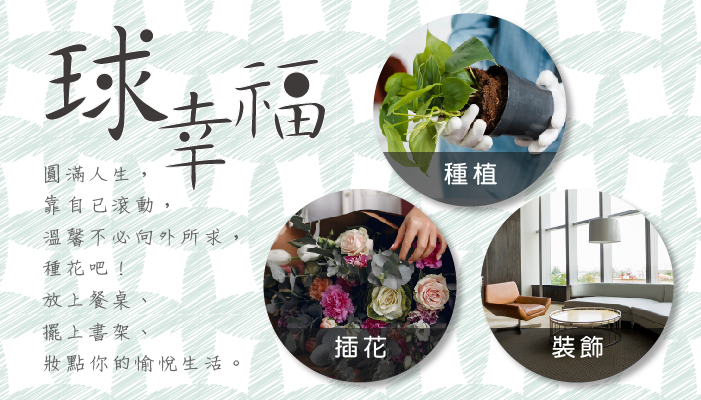 多功能自動澆水盆器可用於蘭花種植、插花藝術與空間擺飾。