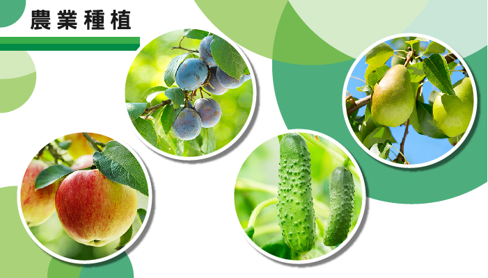 AIERMEI 艾爾鎂平板圈農業種植柑橘樹火龍果應用示範