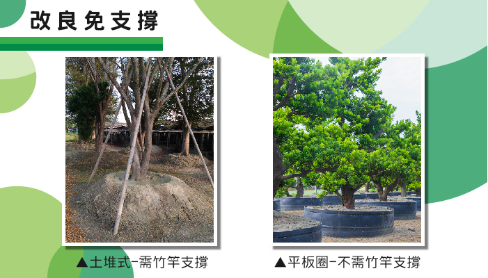 AIERMEI 艾爾鎂平板圈實際栽培應用場景