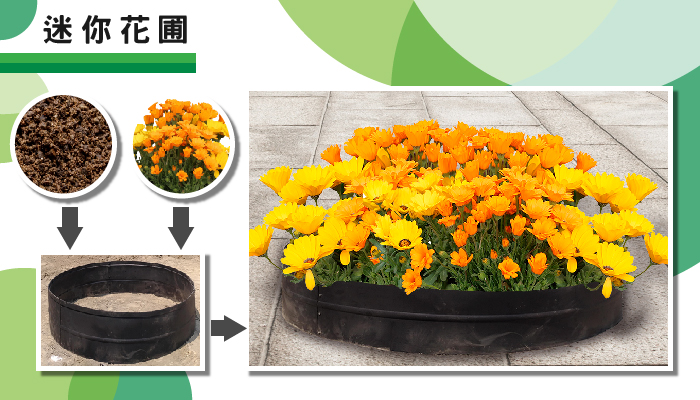 AIERMEI 艾爾鎂平板圈打造居家花圃與迷你農田應用示範
