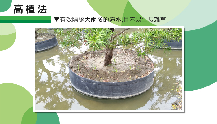 AIERMEI 艾爾鎂平板圈高植法創新栽培示意圖