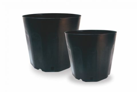 Black Propagation Pot
